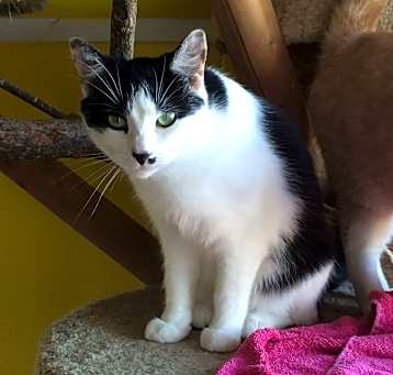Photo of LILLIAN!