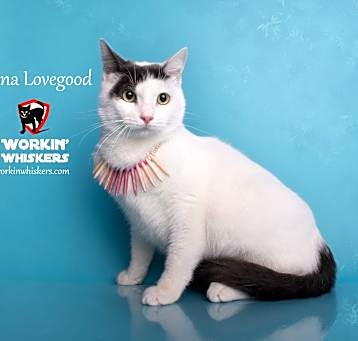 Photo of LUNA LOVEGOOD