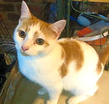 Photo of Gio