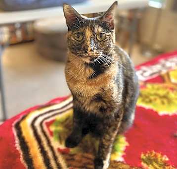 Photo of Sophie