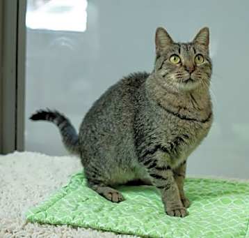 Photo of Rosie