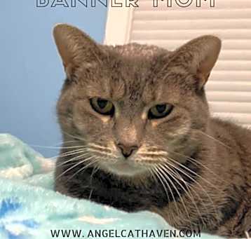 Photo of Banner Mom (Freda)