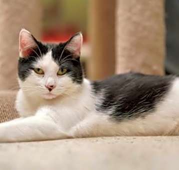 Photo of Clarence