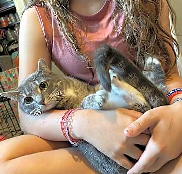 Photo of Zorra
