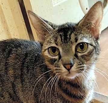 Photo of DOT