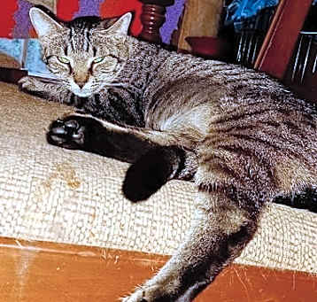 Photo of Judith