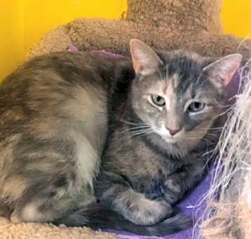 Photo of SUSIE