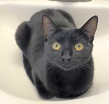 Photo of Betsy