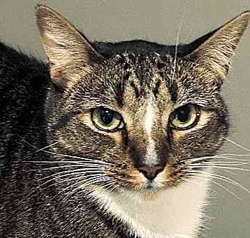 Photo of Sulu