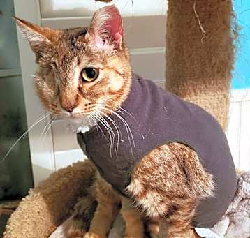 Photo of Sandy