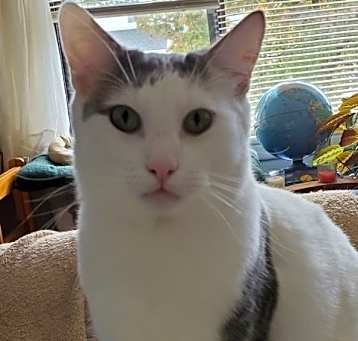 Photo of Dominic