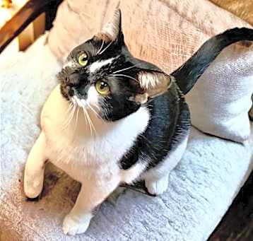 Photo of Jessie