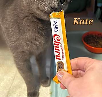 Photo of KATE