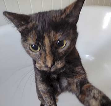 Photo of Fiona