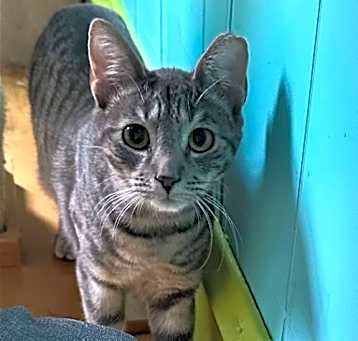 Photo of Frances