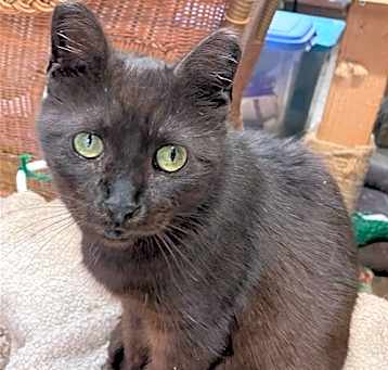 Photo of Precious