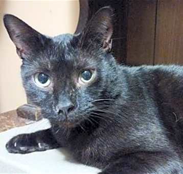 Photo of Bentley