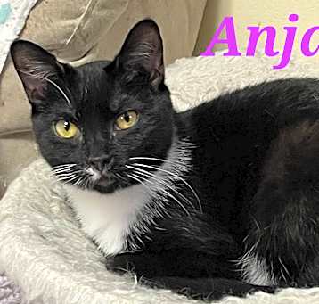 Photo of Anja