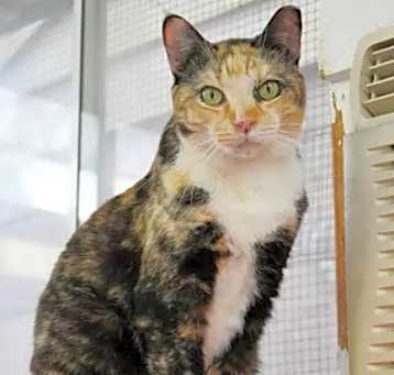 Photo of Frannie