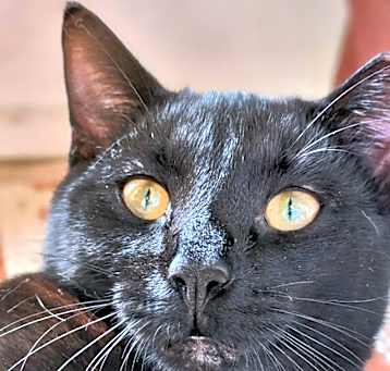 Photo of Timothy