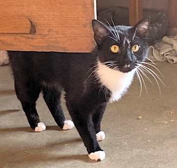 Photo of Jeff