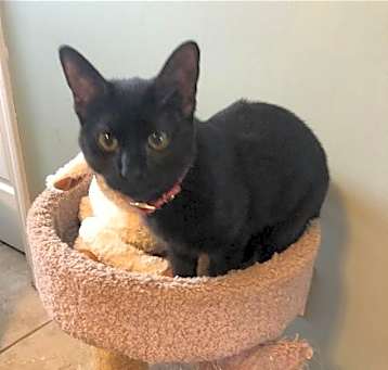 Photo of Peaches C Cream
