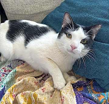 Photo of Marco