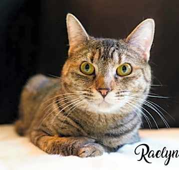 Photo of Raelynn