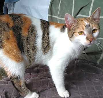 Photo of Agatha