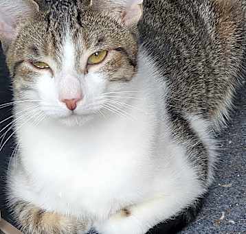 Photo of Murphy