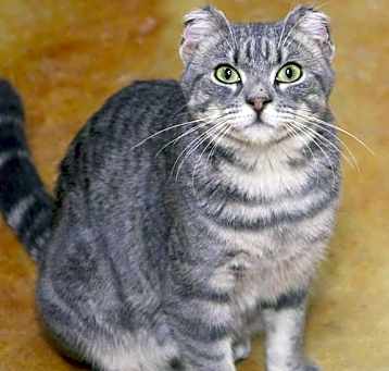 Photo of Finny