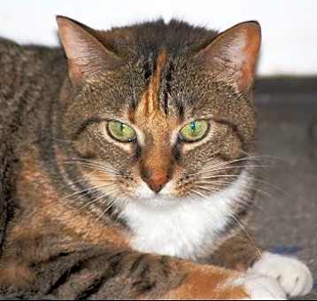 Photo of Zena
