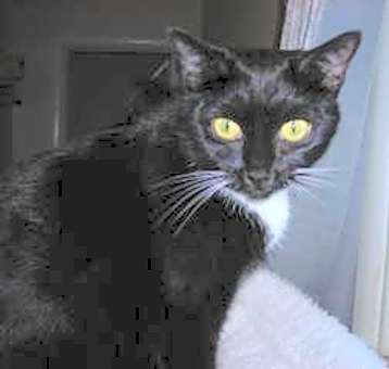 Photo of Miss Mary