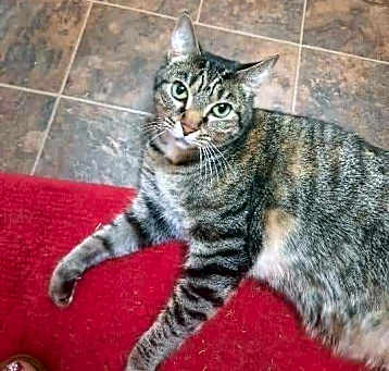 Photo of Alma