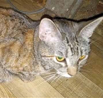 Photo of Miyah