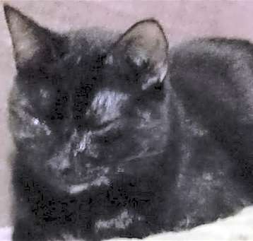 Photo of Mae