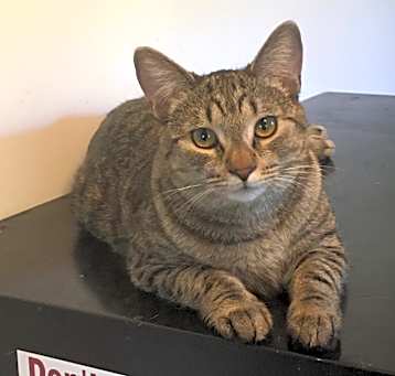 Photo of Spice