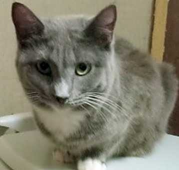 Photo of Joelle