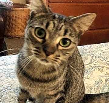 Photo of Laney