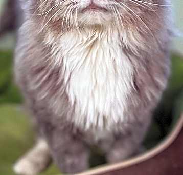 Photo of Marty