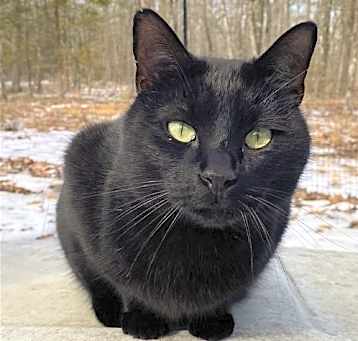 Photo of Leeroy