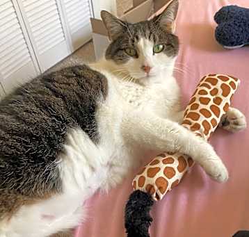 Photo of Mitzi