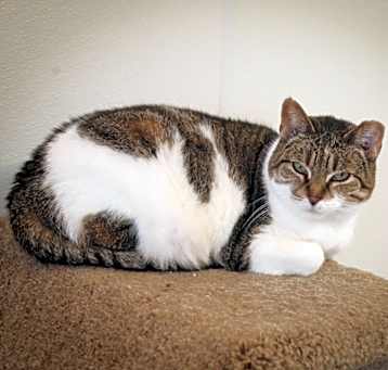 Photo of Kendra