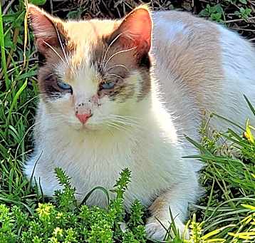 Photo of Mary
