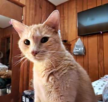 Photo of Donald