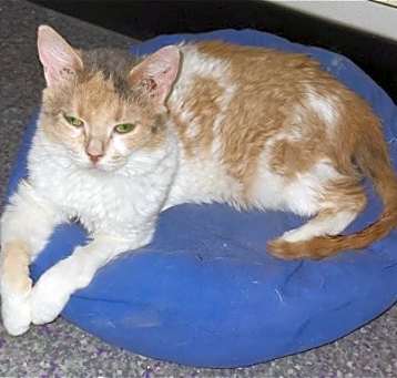 Photo of Liesl