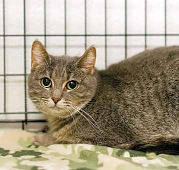 Photo of Dumplin
