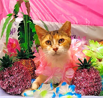 Photo of Thelma