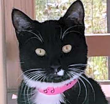 Photo of Luna