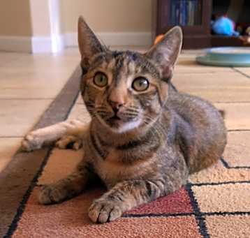 Photo of Leia